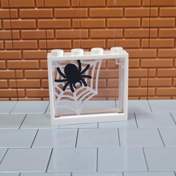 Fenster Spinne