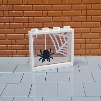 Fenster Spinne Hängend