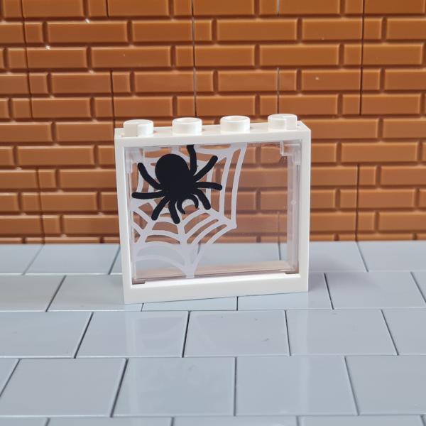 Fenster Spinne